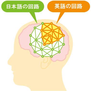 日本語の回路（＝ベース）と英語の回路