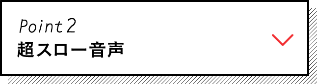 Point2 超スロー音声