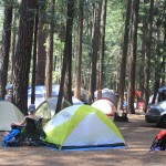 Campsite